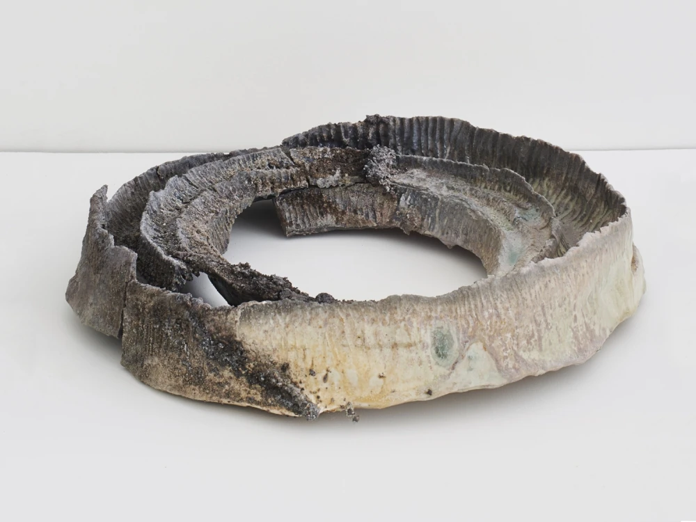 Jemila MacEwan, Crater Rings, 2016