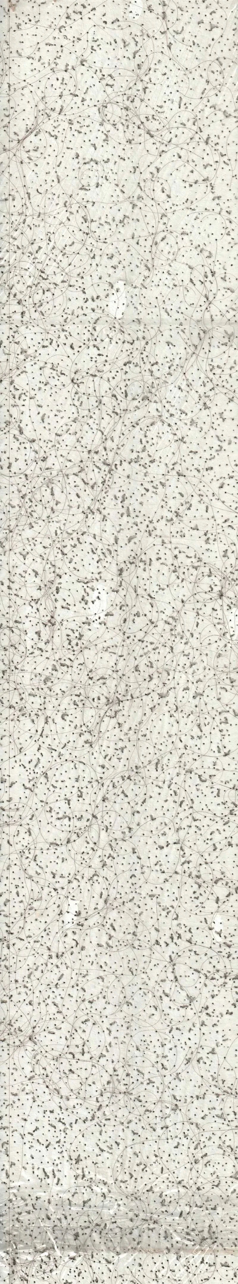 image 8.jpg