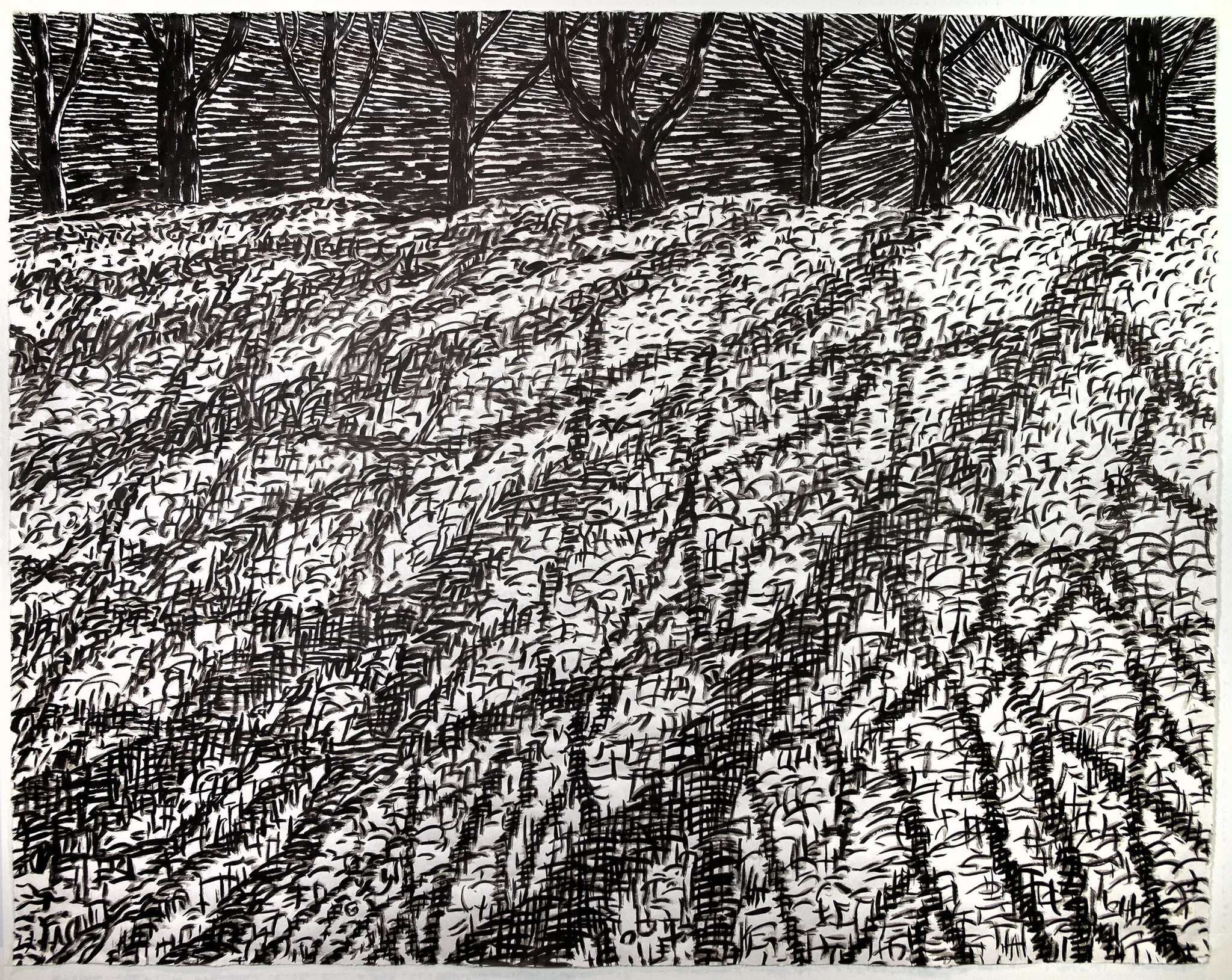 Benjamin Degen, Moon Shadows 38x48in. Ink on mulberry paper. 2020.Courtesy the artist and Susan Inglett Gallery, New York.